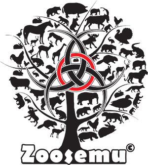 This image has an empty alt attribute; its file name is Zoosemu_logo_tekst-2.png